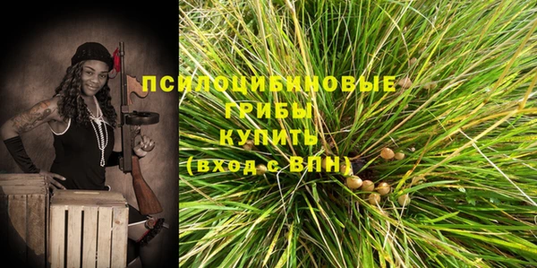 гидропоника Алзамай