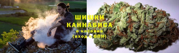 стаф Балахна